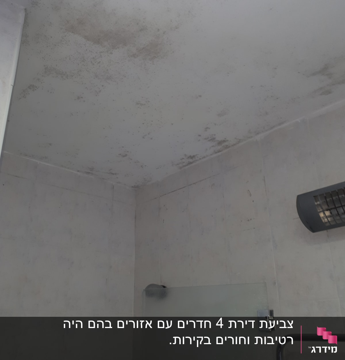 תקרה עם כתמי עובש כהים